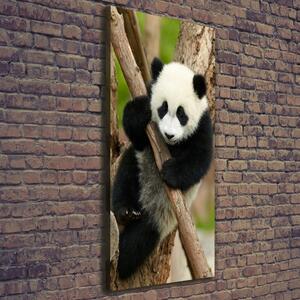 Tablou canvas Panda într-un copac