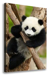 Tablou canvas Panda într-un copac