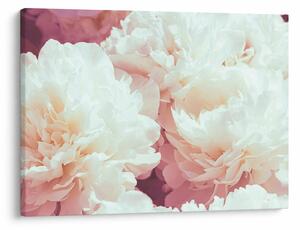 Tablou cu flori (70x50 cm)