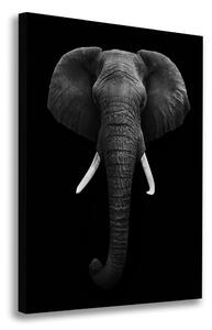 Tablou pe pânză elefant african