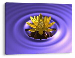 Tablou - Lotus (70x50 cm)
