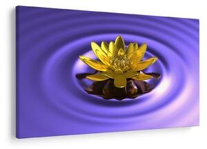 Tablou - Lotus (90x60 cm)