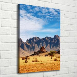 Tablou pe pânză Desert Namibia