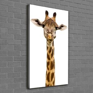 Imprimare tablou canvas Girafă