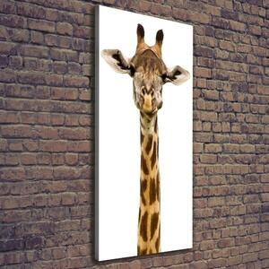 Imprimare tablou canvas Girafă