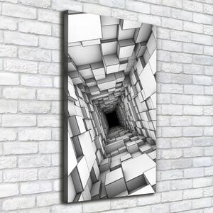 Pictură pe pânză Tunel cu cuburi