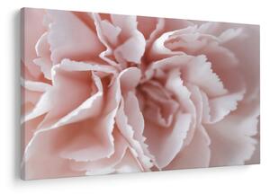 Tablou - Detaliu flori (90x60 cm)