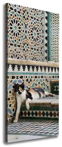 Tablou canvas Cat în Maroc