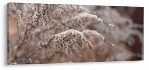 Tablou cu plante (120x50 cm)