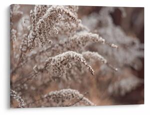 Tablou cu plante (70x50 cm)