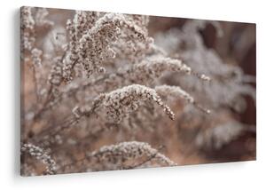 Tablou cu plante (90x60 cm)