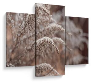 Tablou cu plante (90x60 cm)