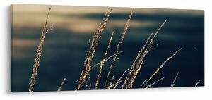 Tablou cu ierburi (120x50 cm)