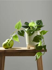 Sinsay - Plantă artificială decorativă - verde