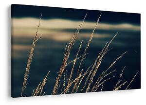 Tablou cu ierburi (90x60 cm)