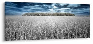 Tablou cu câmp (120x50 cm)