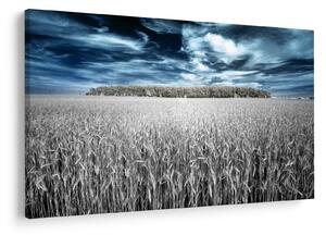Tablou cu câmp (90x60 cm)