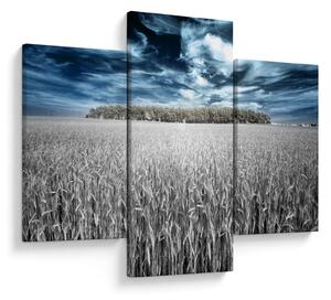 Tablou cu câmp (90x60 cm)
