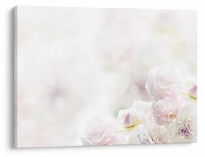 Tablou cu flori fragede (70x50 cm)