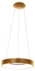 Steinhauer Ringlede lampă suspendată LED, Ø 48 cm, auriu, reglabil, Auriu / Alamă, Camera de zi / sufragerie, Metal, Modern