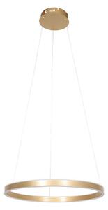Steinhauer Ringlux lampă suspendată LED 2 becuri Ø60cm, auriu, reglabil, Auriu / Alamă, Camera de zi / sufragerie, Metal, Modern