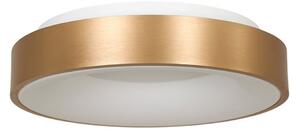 Steinhauer Plafonieră cu LED Ringlede 2.700 K Ø 30 cm auriu, reglabil, Auriu / Alamă, Camera de zi / sufragerie, Metal, Modern