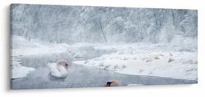 Tablou cu lebăde (120x50 cm)