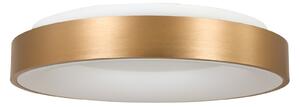 Steinhauer Plafonieră cu LED Ringlede 2.700 K Ø 48 cm auriu, reglabil, Auriu / Alamă, Camera de zi / sufragerie, Metal, Modern