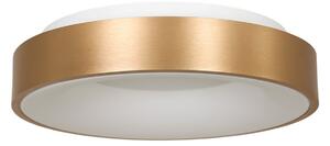 Steinhauer Plafonieră cu LED Ringlede, 2.700 K Ø 38 cm auriu, reglabil, Auriu / Alamă, Camera de zi / sufragerie, Metal, Modern