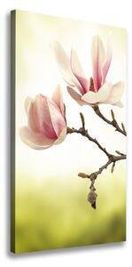 Imprimare tablou canvas flori magnolia