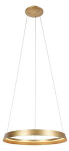 Steinhauer Lampă suspendată LED Ringlux, 1 bec, auriu, metal, reglabil, Auriu / Alamă, Camera de zi / sufragerie, Metal, Modern