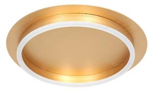 Steinhauer Plafonieră Ringlux LED, aurie, Ø 32 cm, metal, reglabil, Auriu / Alamă, Camera de zi / sufragerie, Metal, Modern