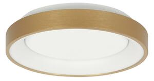 Steinhauer Plafonieră Ringlede LED, aurie, înălțime 6 cm, Ø 38 cm, Auriu / Alamă, Camera de zi / sufragerie, Metal, Modern