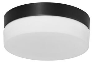 Steinhauer Plafonieră LED Ikaro negru, Ø 18 cm, metal, plastic, reglabil, Negru, Hol, Sticlă