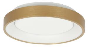 Steinhauer Plafonieră Ringlede LED, aurie, înălțime 6 cm, Ø 28 cm, Auriu / Alamă, Camera de zi / sufragerie, Metal, Modern