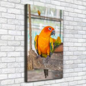 Tablou pe pânză canvas Papagal