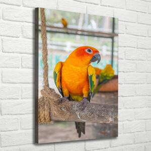 Tablou pe pânză canvas Papagal