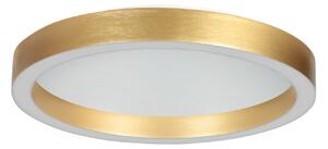 Steinhauer Plafonieră LED Ringlux auriu, Ø 30 cm, metal, 2.700 K, reglabil, Auriu / Alamă, Camera de zi / sufragerie, Metal, Modern