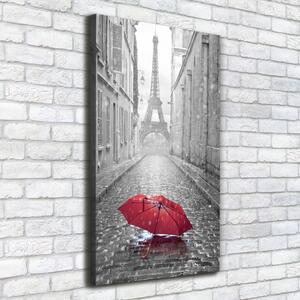 Pictură pe pânză umbrelă Franța