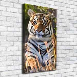 Tablou pe pânză canvas Tigru
