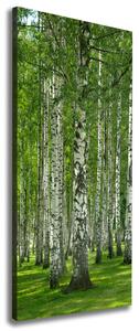 Imprimare tablou canvas pădurea de mesteacăn