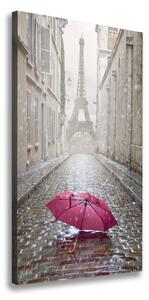 Pictură pe pânză umbrelă Franța