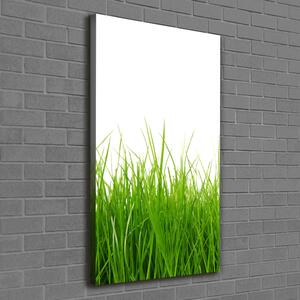 Print pe canvas iarbă verde