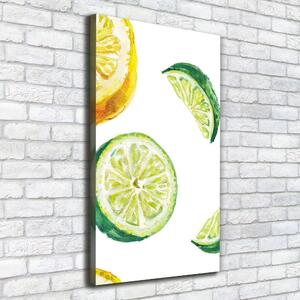 Tablou pe pânză canvas Limes și lămâi
