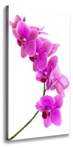 Tablou canvas orhidee roz