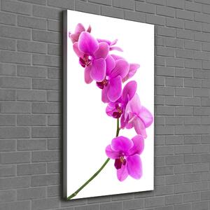 Tablou canvas orhidee roz