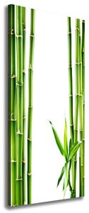 Tablou pe pânză canvas Bambus