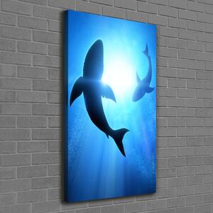 Print pe canvas siluete de rechini