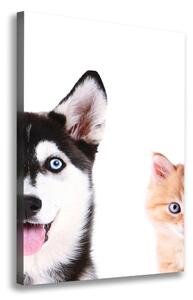 Print pe canvas Câine și pisică