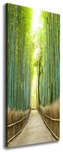 Tablouri tipărite pe pânză pădure de bambus